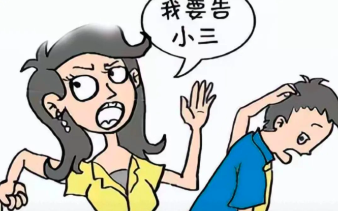 三亚小三调查取证：手撕三姐是下下策：高段位的原配，如何让对方主动退出？